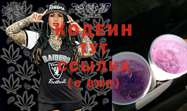 дживик Абаза