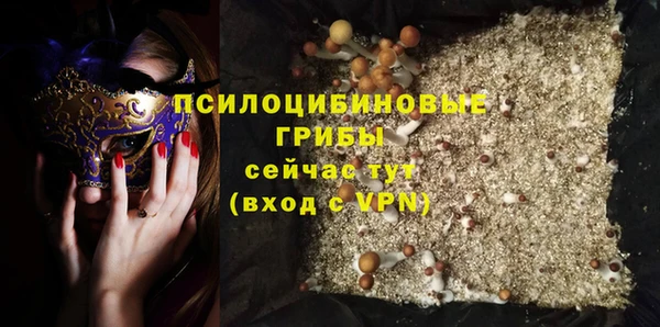 дживик Абаза