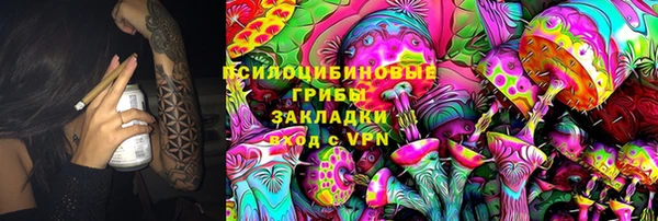 дживик Абаза