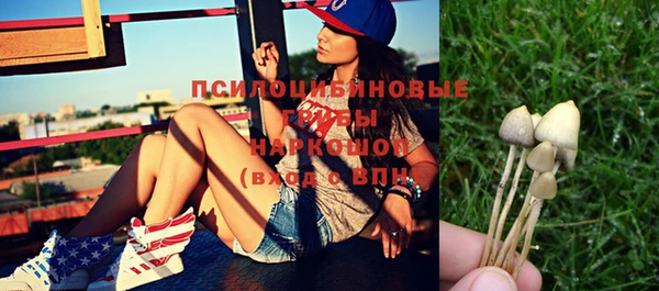 эйфоретик Абинск