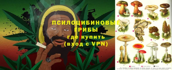 дживик Абаза