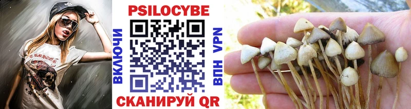 Псилоцибиновые грибы Cubensis  магазин  наркотиков  Приморско-Ахтарск 